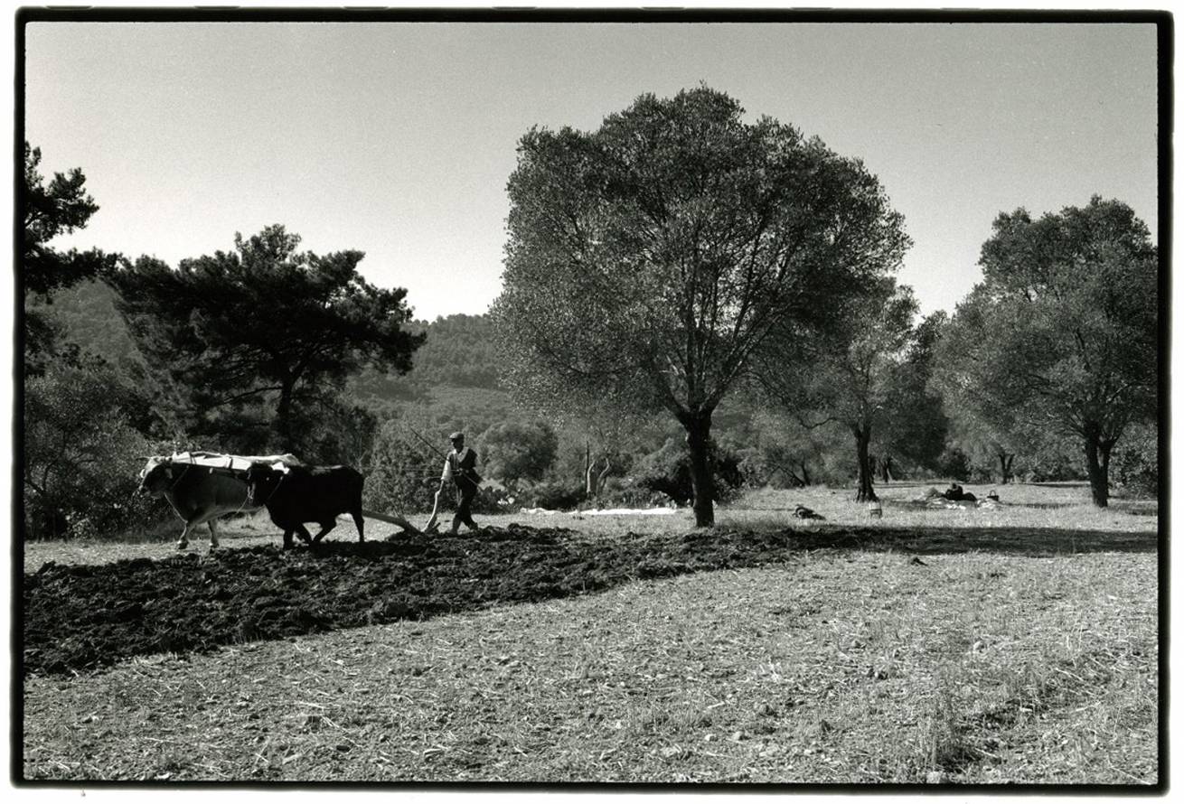 Bodrum town 006 - 80 X 120 cm B&W Prints - Edition of 5