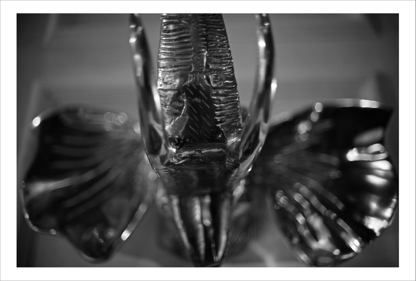 19 - 45 cm x 70 cm C Type Prints - Edition of 5