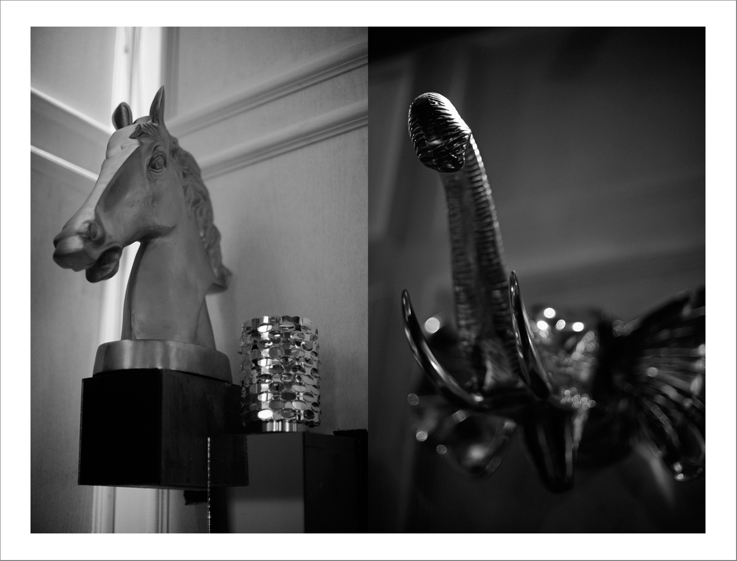 41 - 45 cm x 70 cm C Type Prints - Edition of 5