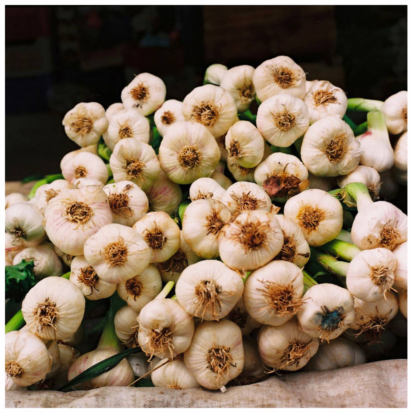 Modelled by locals; in Gocek Town