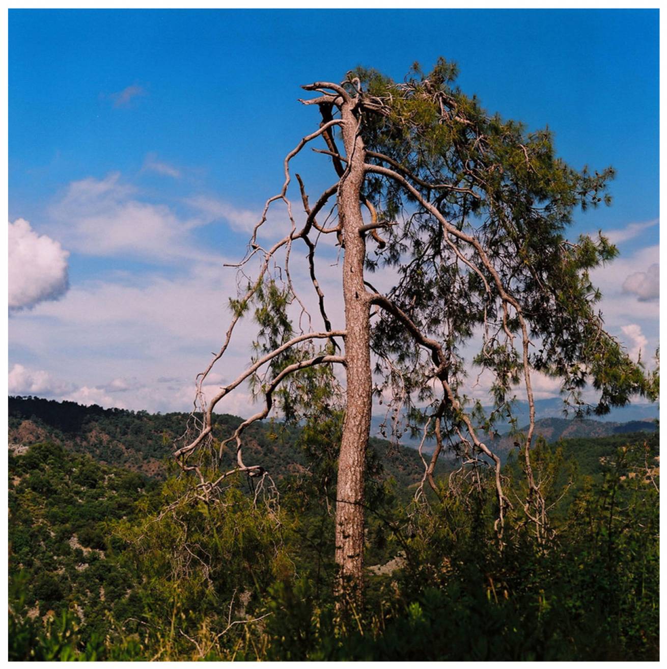 Modelled by locals; in Gocek Town