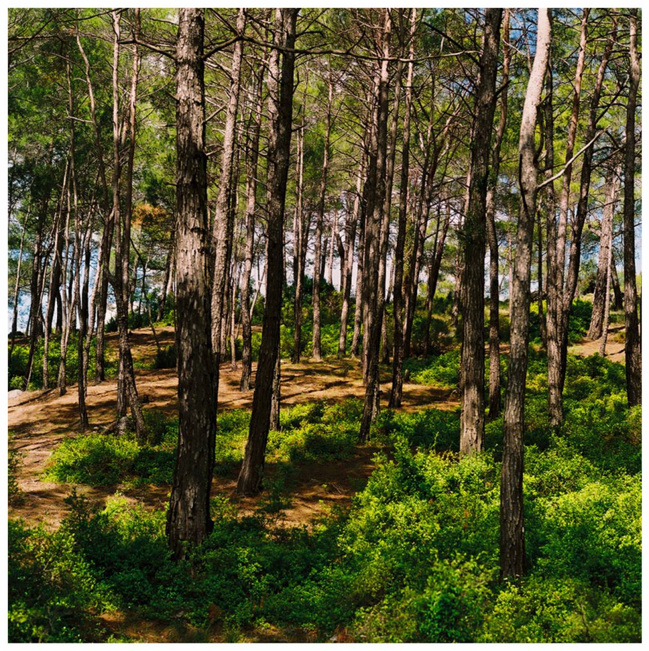 Modelled by locals; in Gocek Town