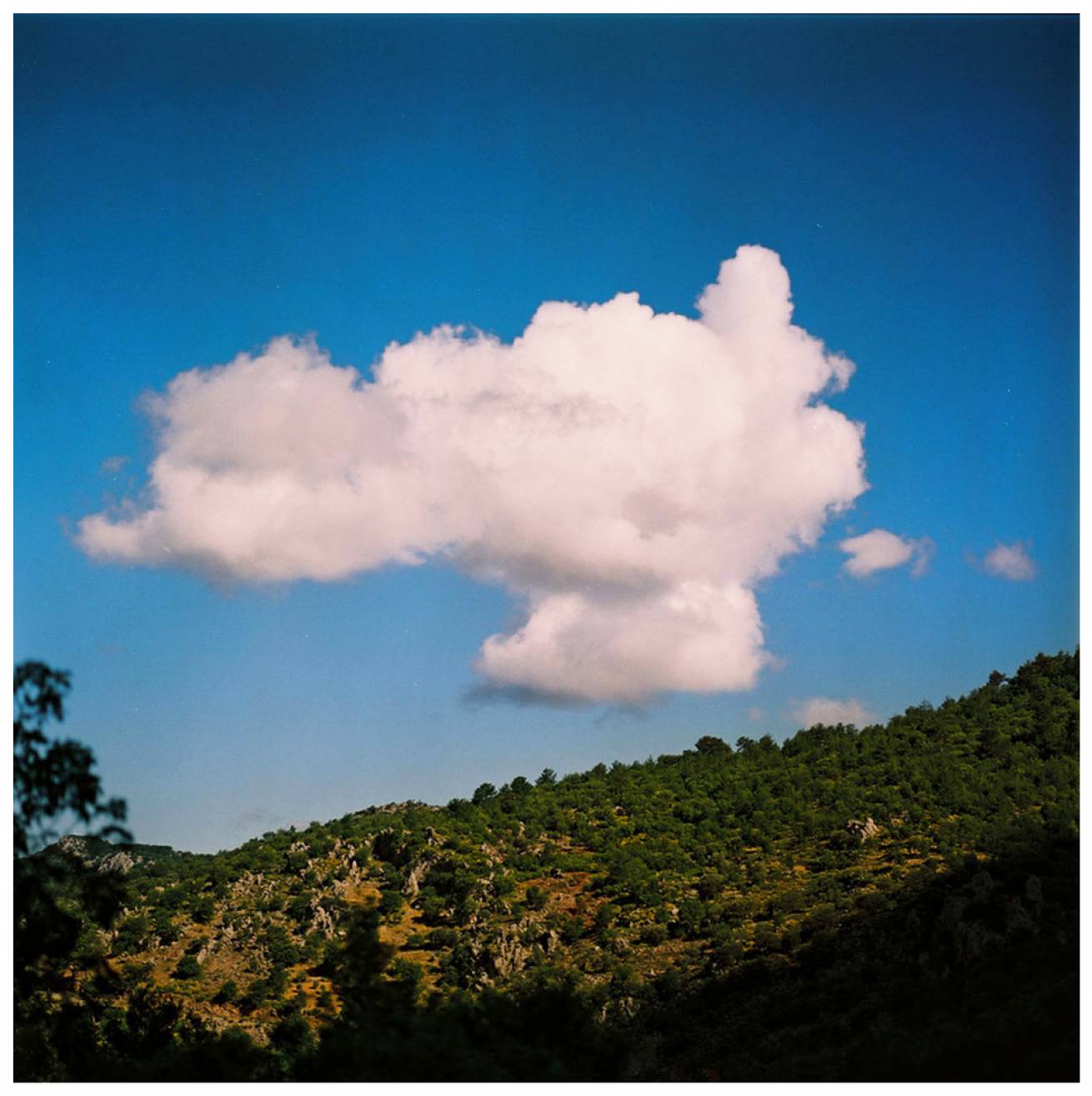 Modelled by locals; in Gocek Town