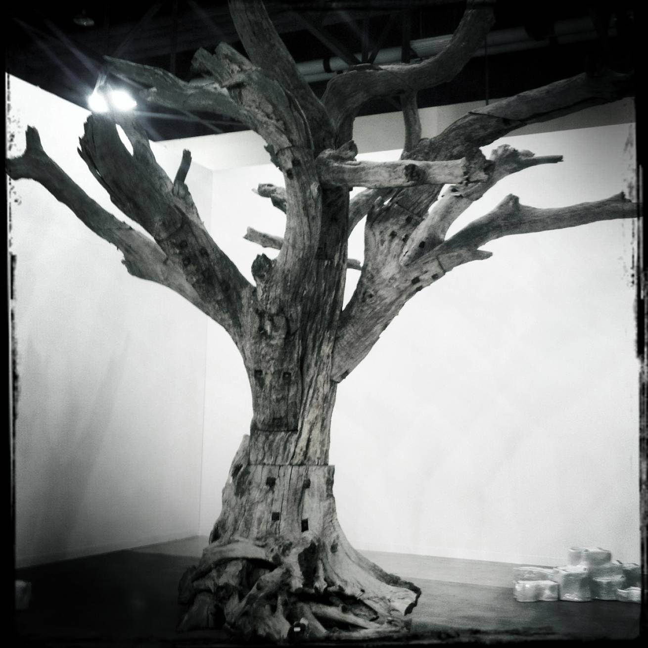 Miami 024 - 13 cm x 15 cm Postcard Size C Type Prints Portfolio - Edition of 50