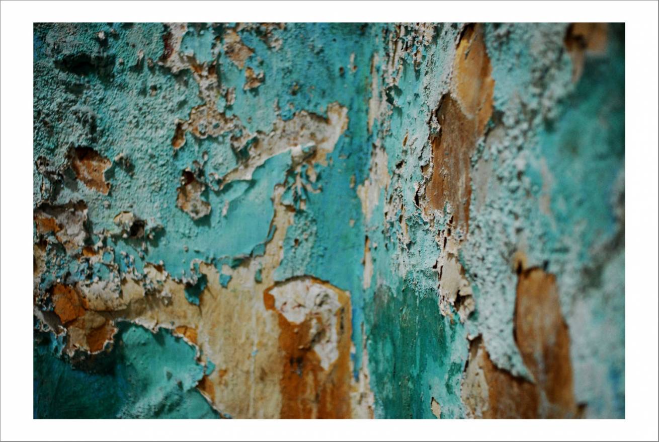 70 x 100 cm Pigment Prints Edition of 5