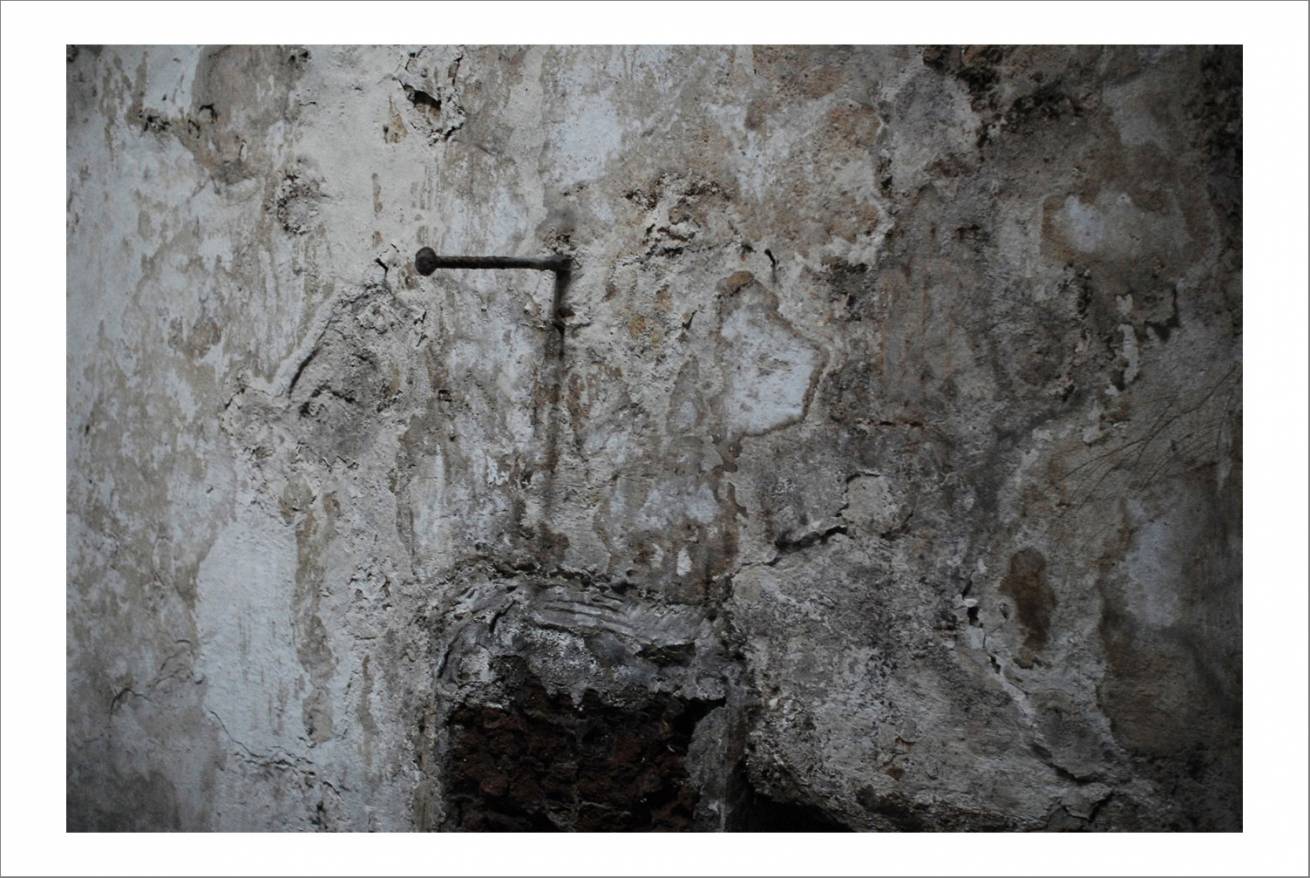 70 x 100 cm Pigment Prints Edition of 5