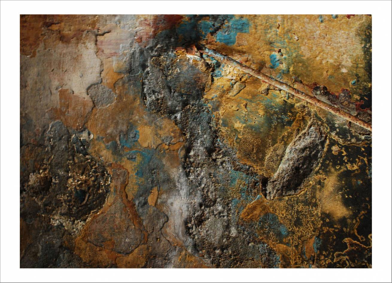 70 x 100 cm Pigment Prints Edition of 5