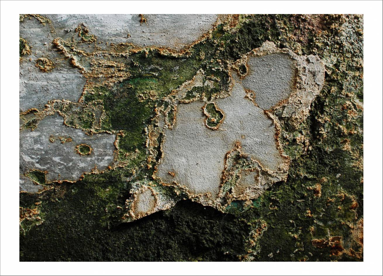 70 x 100 cm Pigment Prints Edition of 5