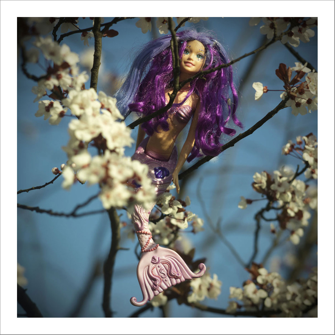 110 x 110 cm Diasec Mounted Prints - Edition of 5