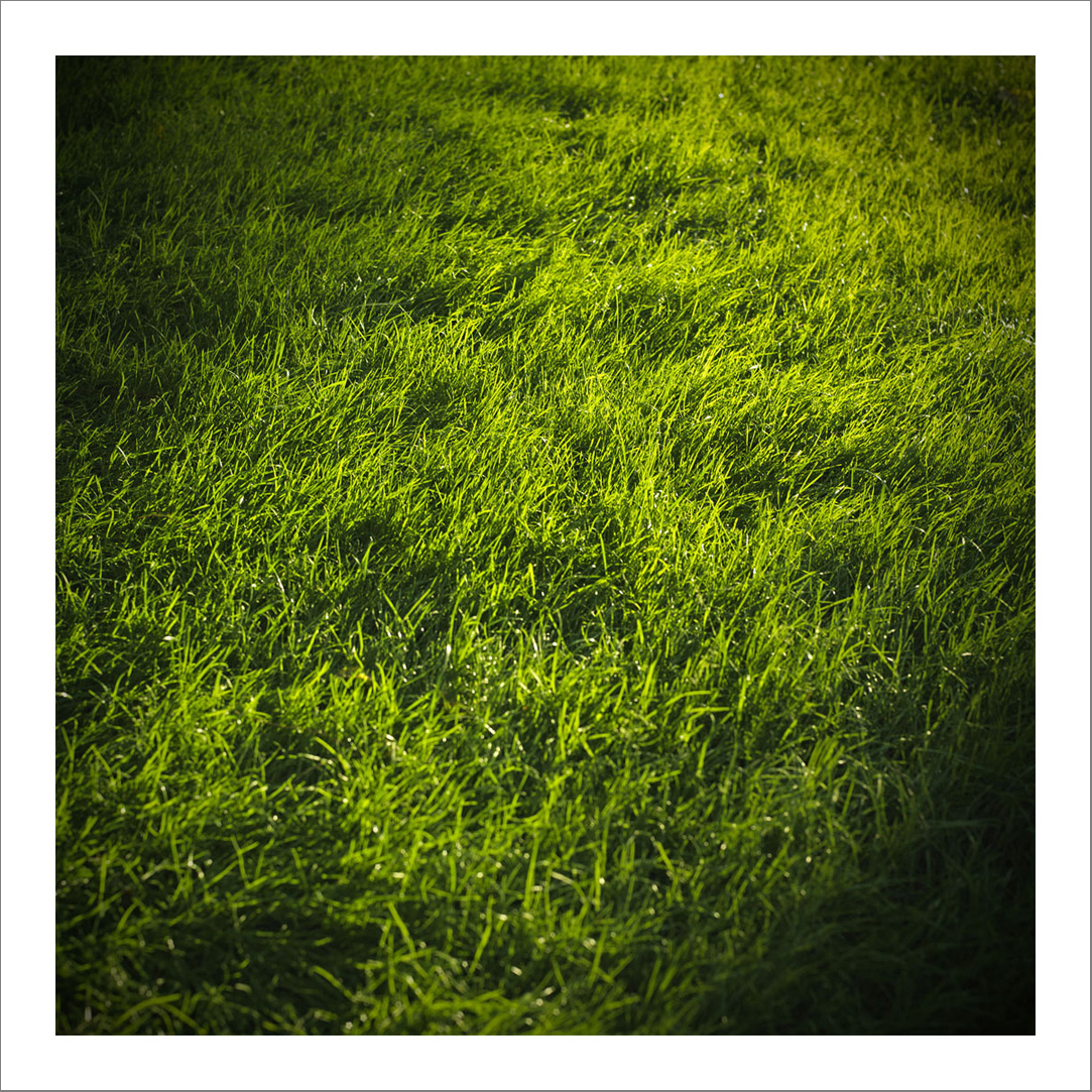 110 x 110 cm Diasec Mounted Prints - Edition of 5