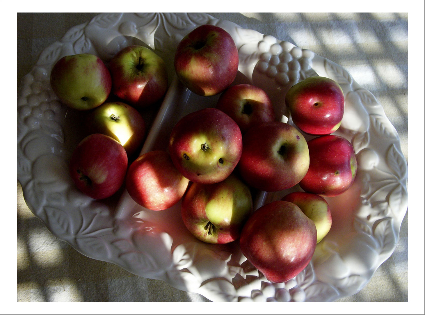 New photographs1 27 - 110 x 140 cm Pigment Prints - Edition of 5