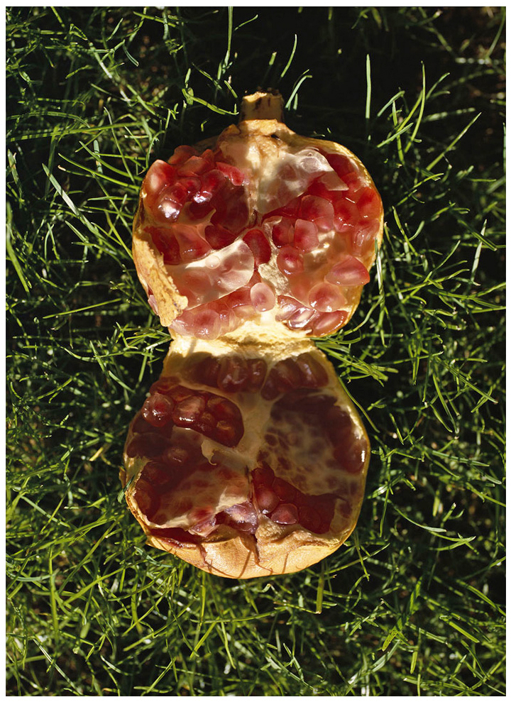 New photographs1 53 - 110 x 140 cm Pigment Prints - Edition of 5