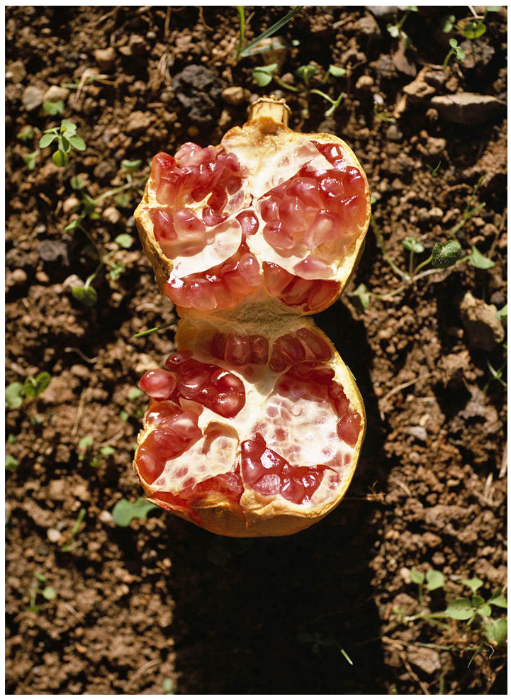 New photographs1 54 - 110 x 140 cm Pigment Prints - Edition of 5