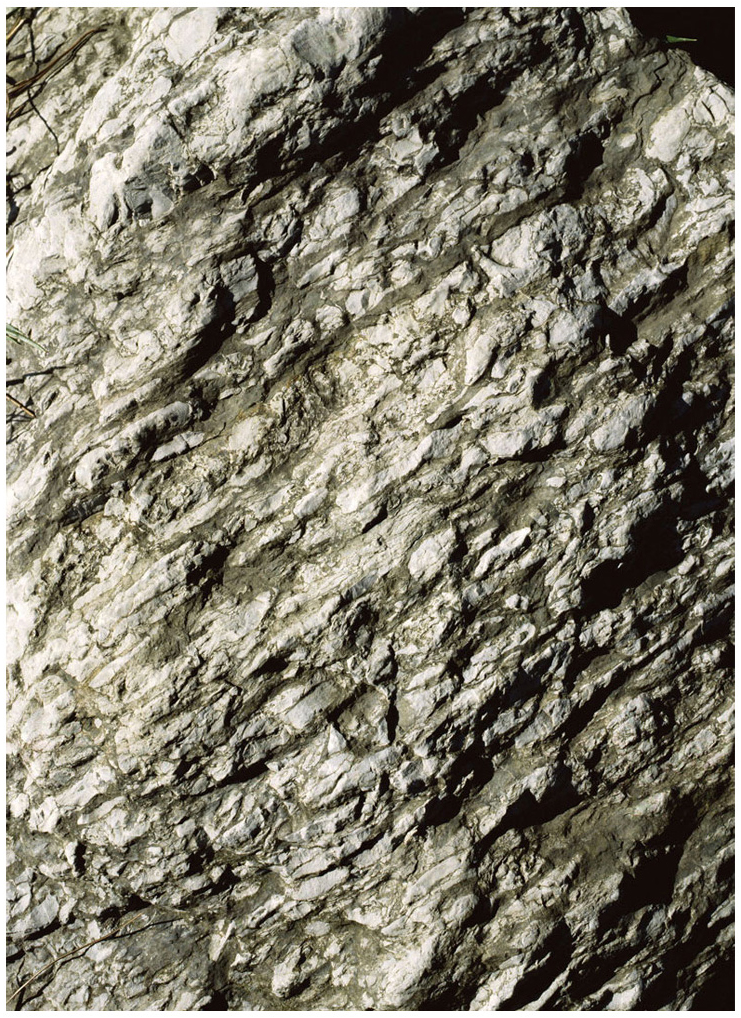 New photographs1 55 - 110 x 140 cm Pigment Prints - Edition of 5