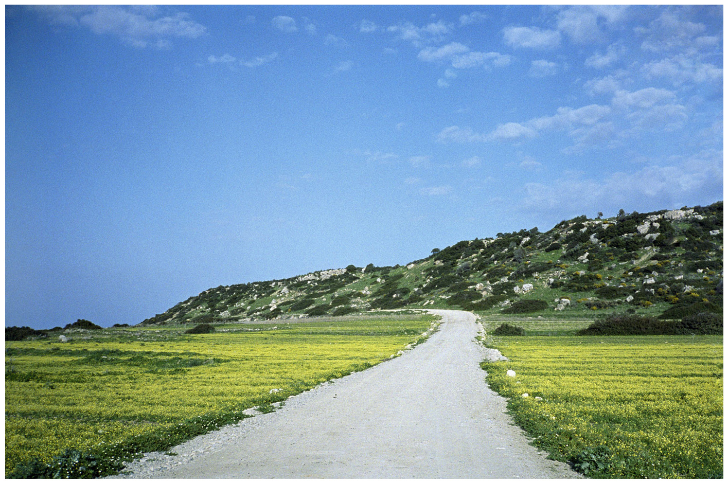 New photographs1 57 - 110 x 140 cm Pigment Prints - Edition of 5