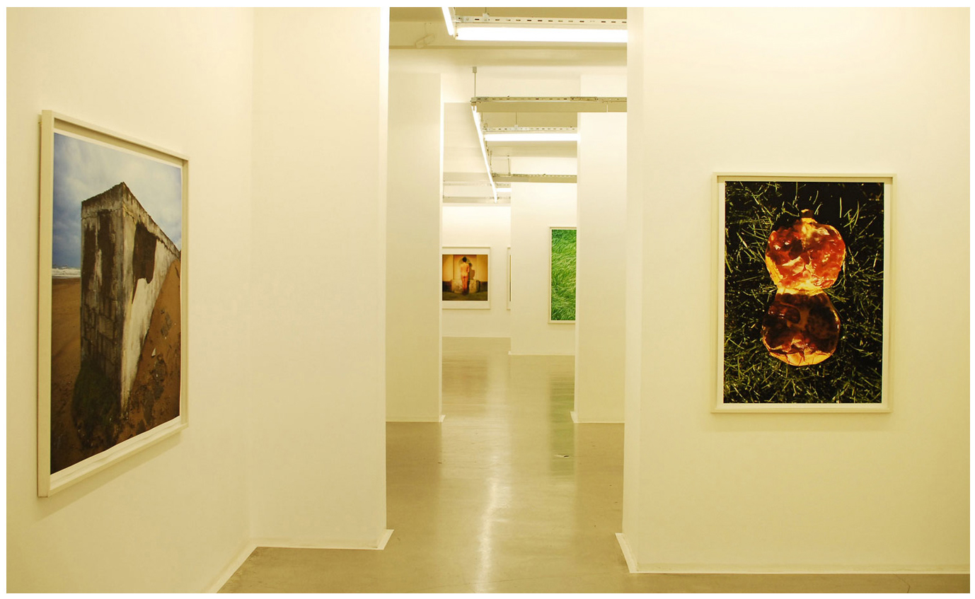 110 x 140 cm Pigment Prints - Edition of 5