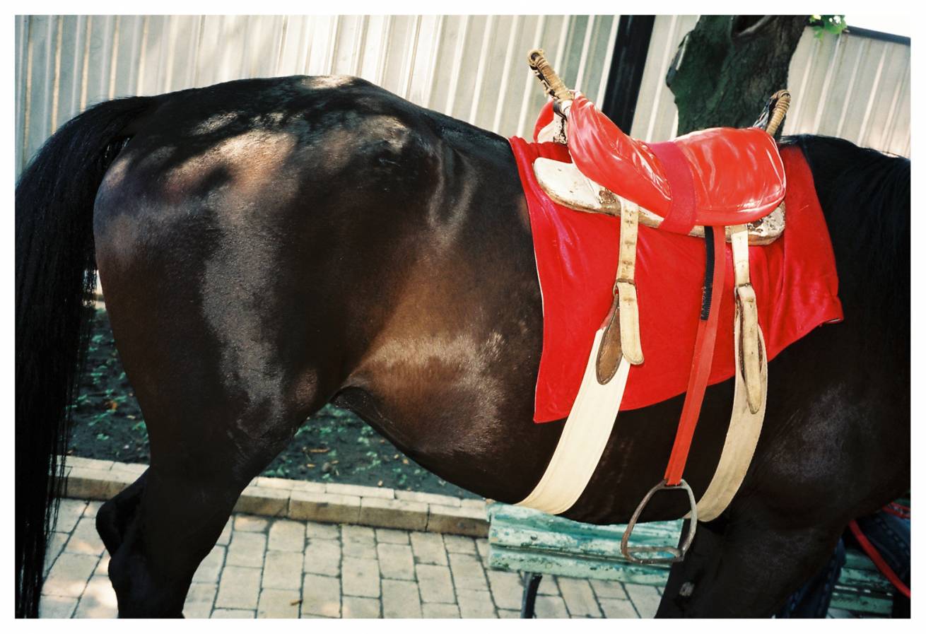 Two Photographs in 75 x 100 cm C Type Prints / Edition of 5