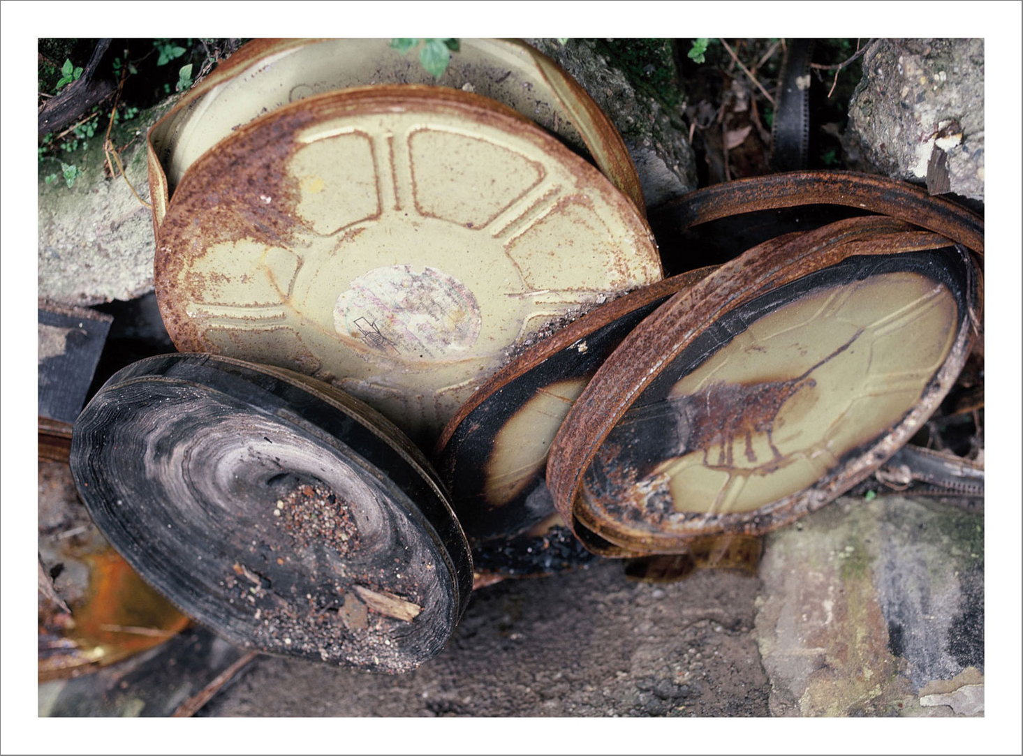 13 x 15 cm Postcard Size Prints compiled in a Box