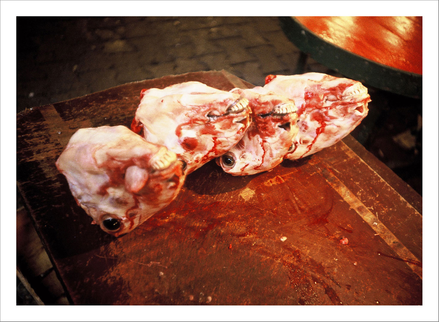 13 x 15 cm Postcard Size Prints compiled in a Box