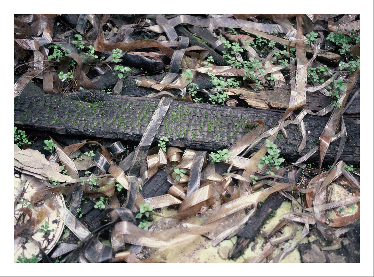 Postcards from pera 52 - 13 x 15 cm Postcard Size Prints compiled in a Box