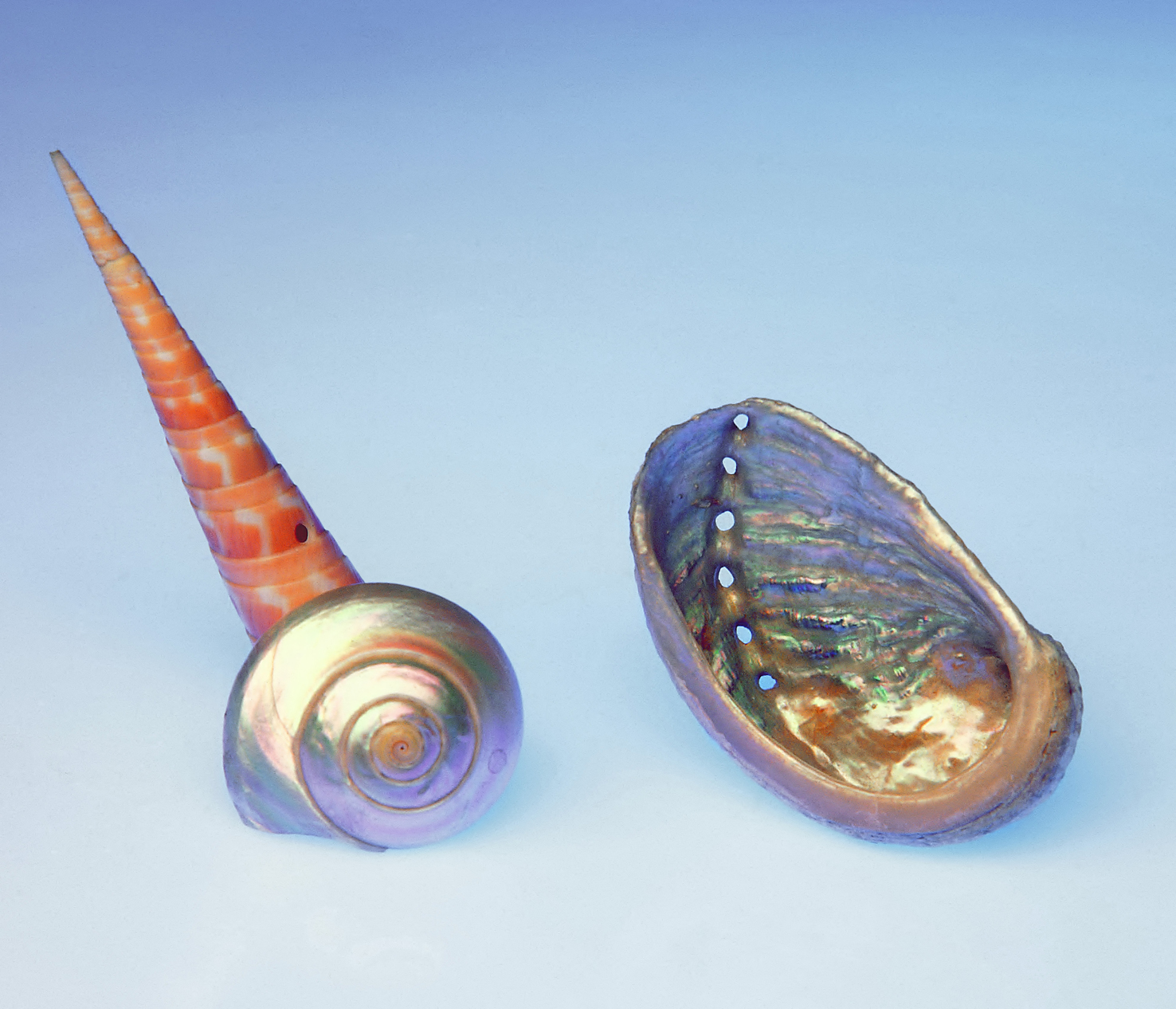 100 x 75 cm Prints - Edition of 5