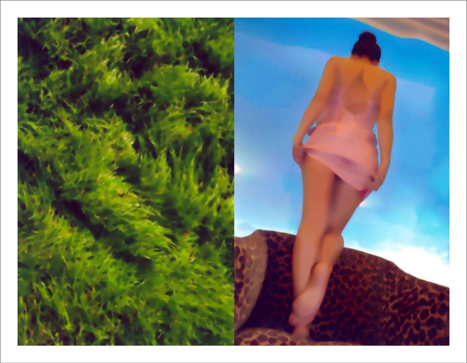 Springs 01 - Questioning Photographic Reality - Diptychs 100 x 80 cm - 120 x 50 cm Edition of 5