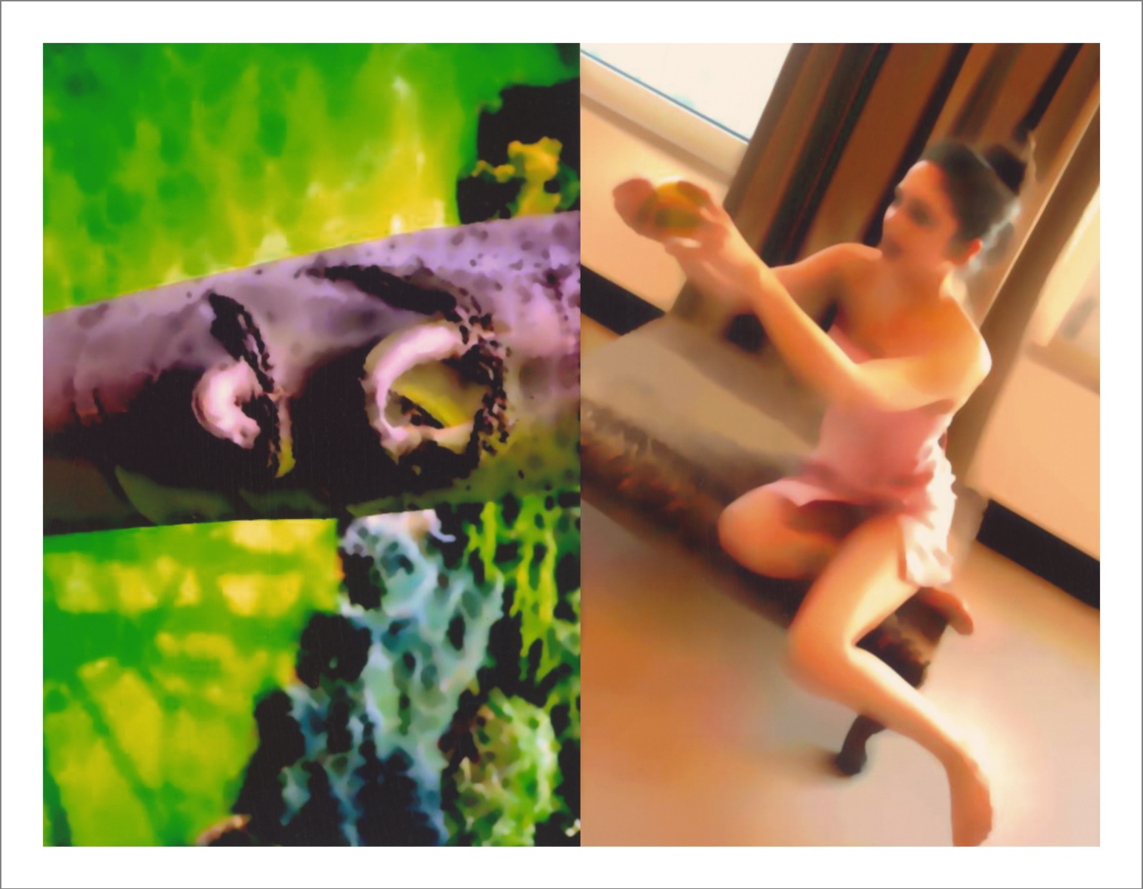 Springs 03 - Questioning Photographic Reality - Diptychs 100 x 80 cm - 120 x 50 cm Edition of 5