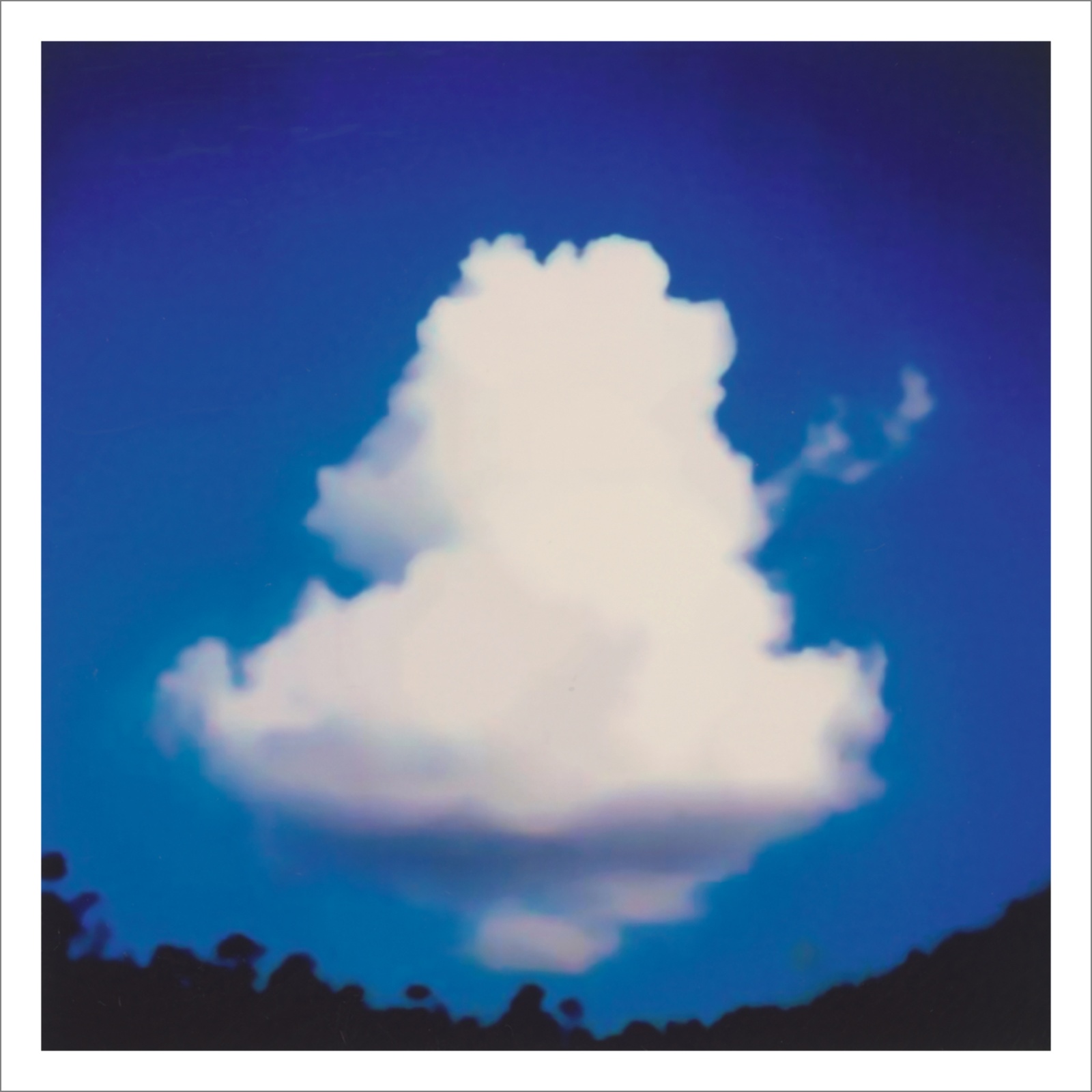 Springs 08 - Questioning Photographic Reality - Diptychs 100 x 80 cm - 120 x 50 cm Edition of 5