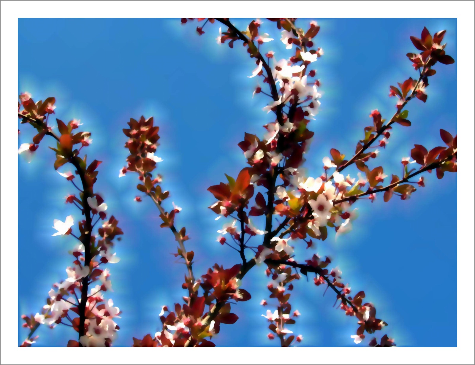 Springs 12 - Questioning Photographic Reality - Diptychs 100 x 80 cm - 120 x 50 cm Edition of 5