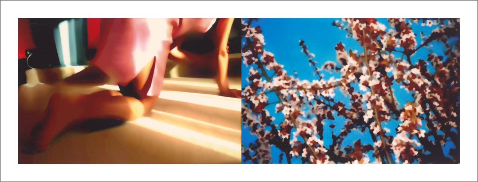 Springs 13 - Questioning Photographic Reality - Diptychs 100 x 80 cm - 120 x 50 cm Edition of 5