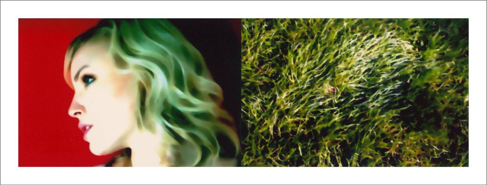 Springs 15 - Questioning Photographic Reality - Diptychs 100 x 80 cm - 120 x 50 cm Edition of 5