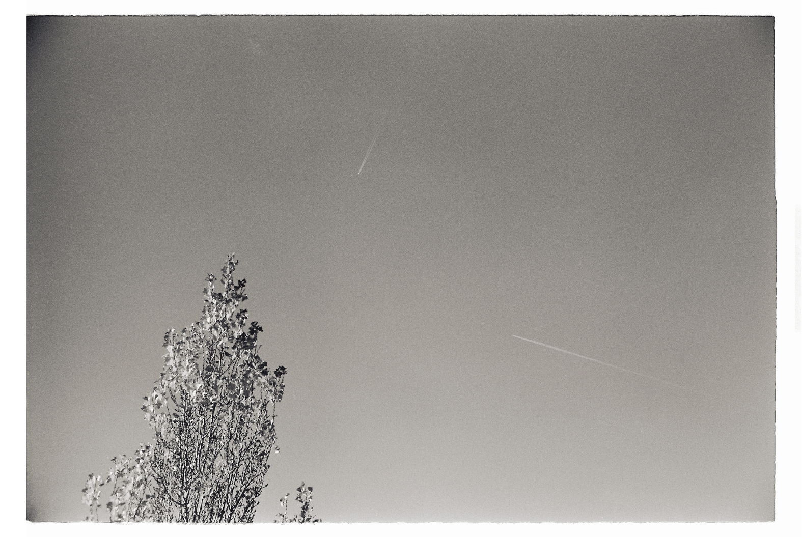 13 cm x 18 cm Postcard Size C Type Prints Portfolio - Edition of 50