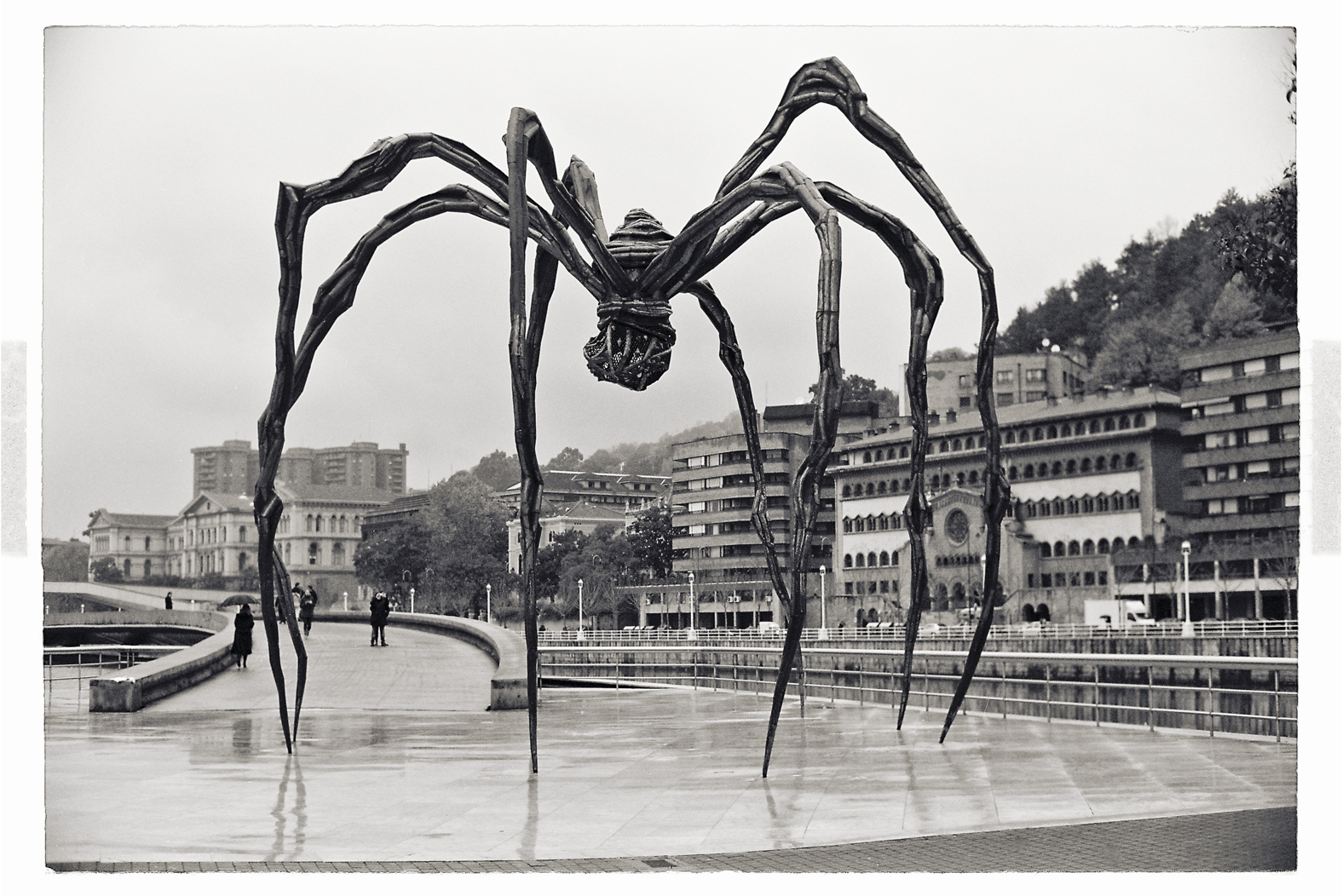 13 cm x 18 cm Postcard Size C Type Prints Portfolio - Edition of 50