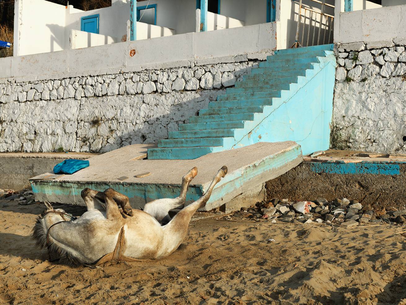 110 x 150 cm C Type Prints - Edition of 7