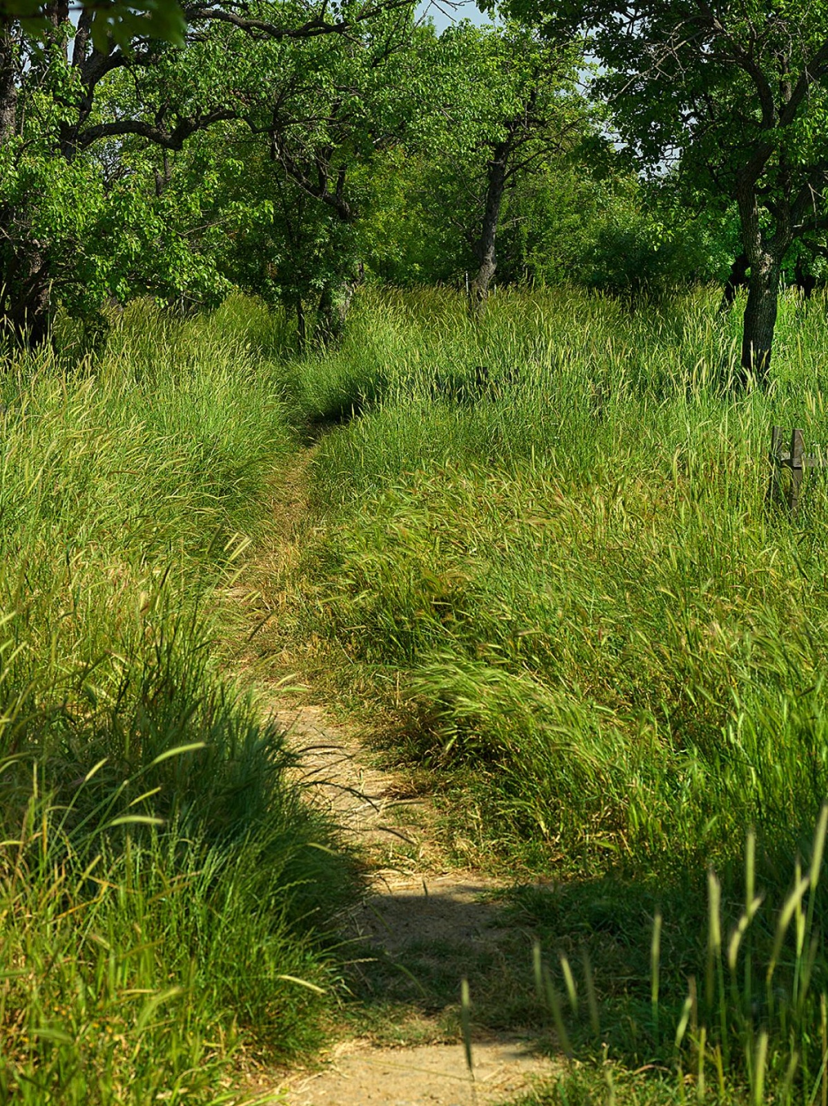 110 x 150 cm C Type Prints - Edition of 7