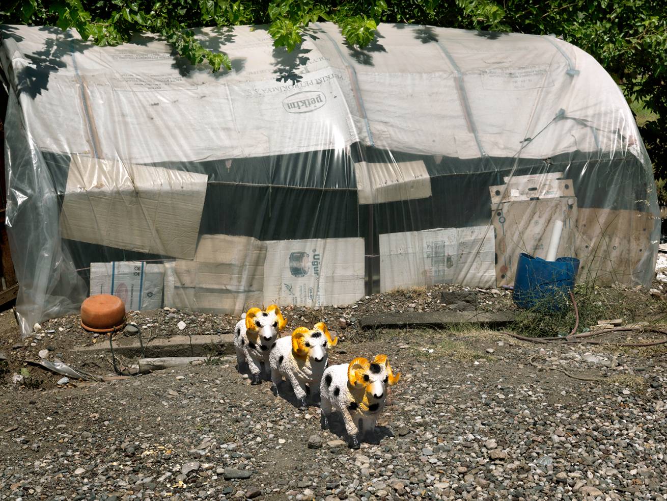 110 x 150 cm C Type Prints - Edition of 7