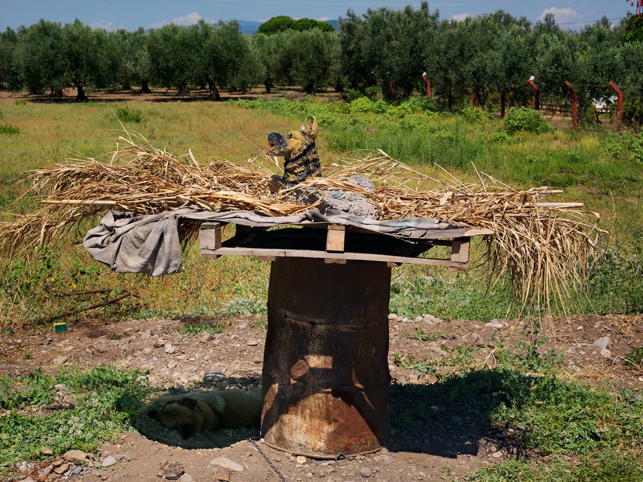 110 x 150 cm C Type Prints - Edition of 7