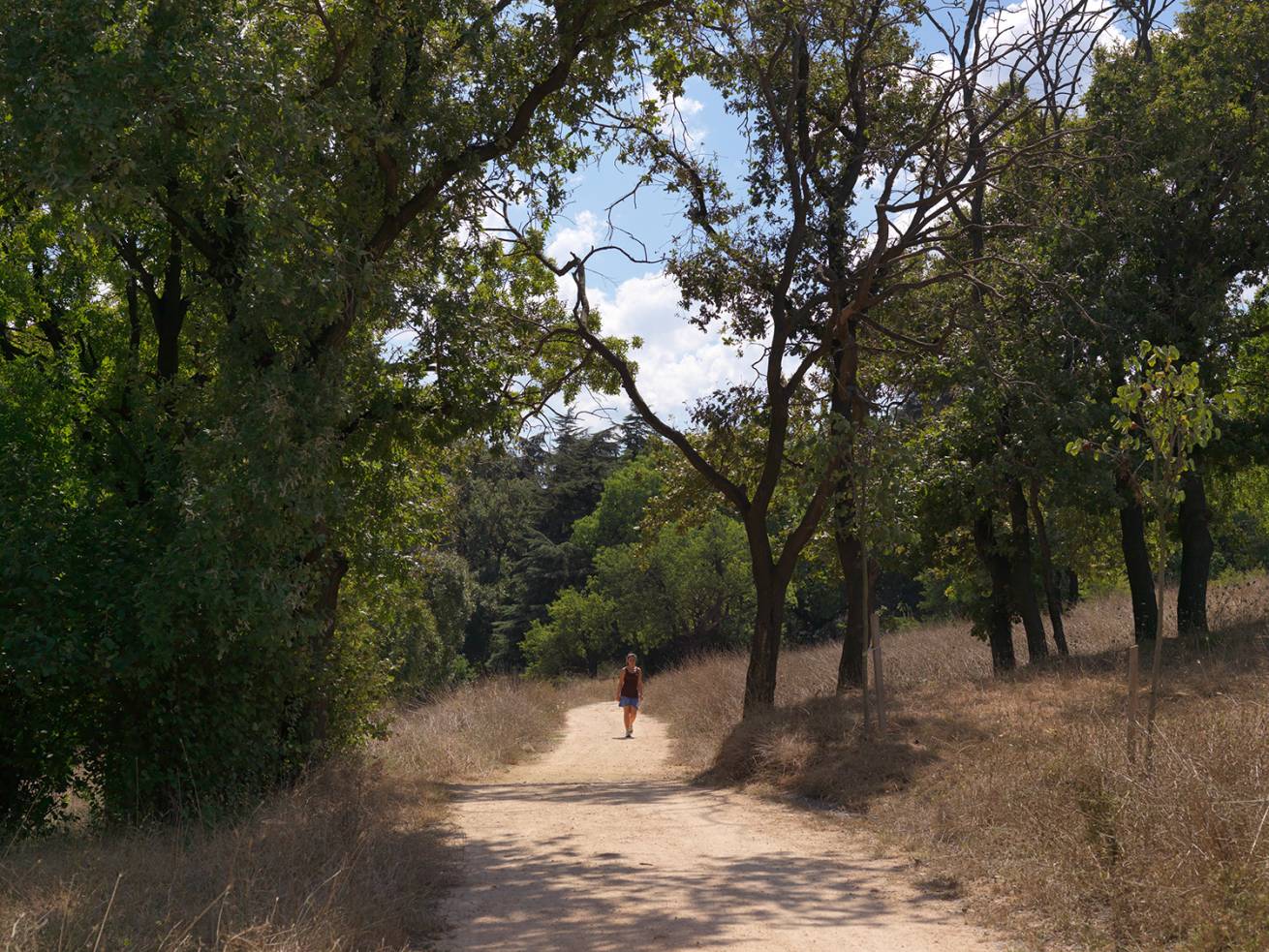 110 x 150 cm C Type Prints - Edition of 7