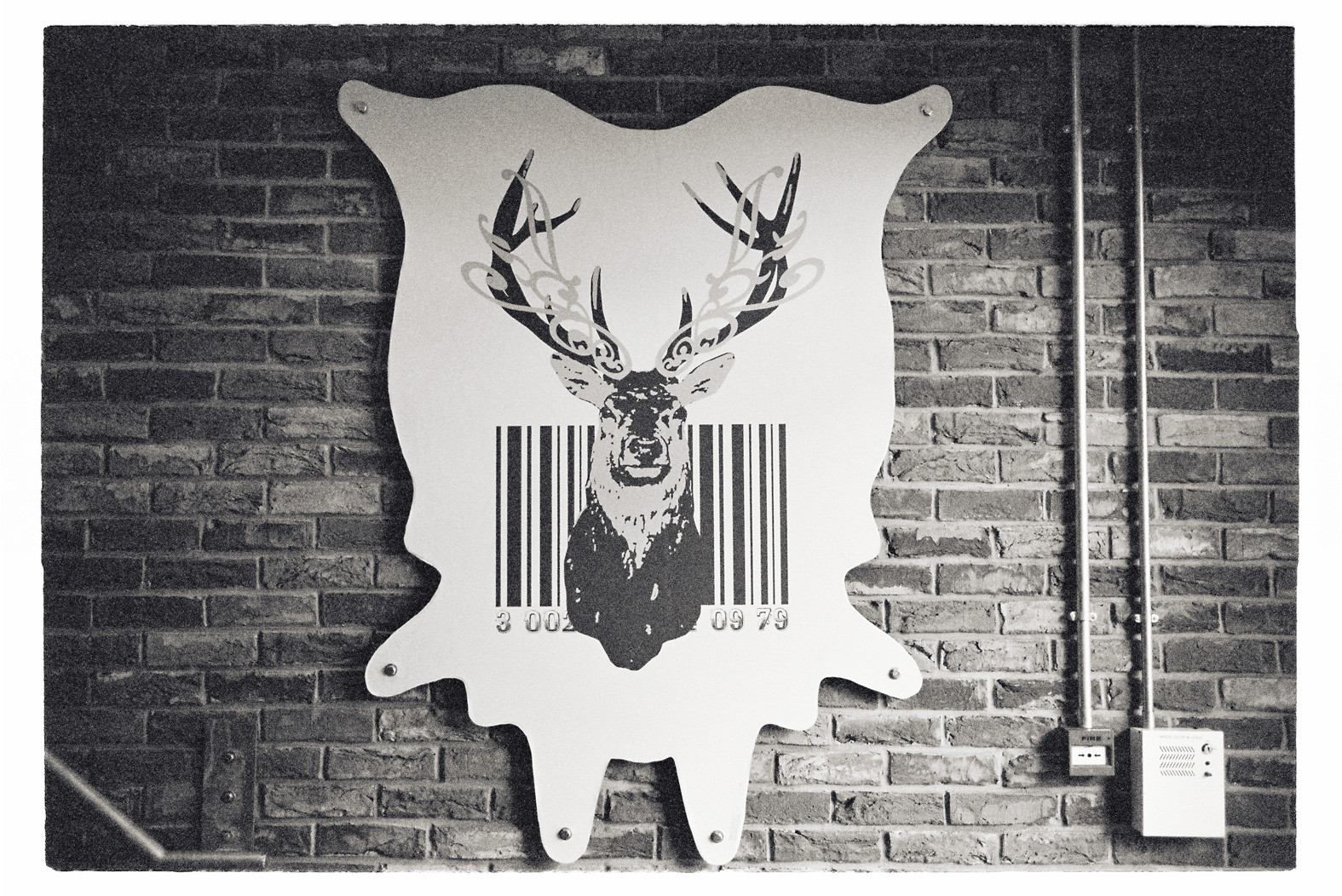 13 cm x 18 cm Postcard Size C Type Prints Portfolio - Edition of 50