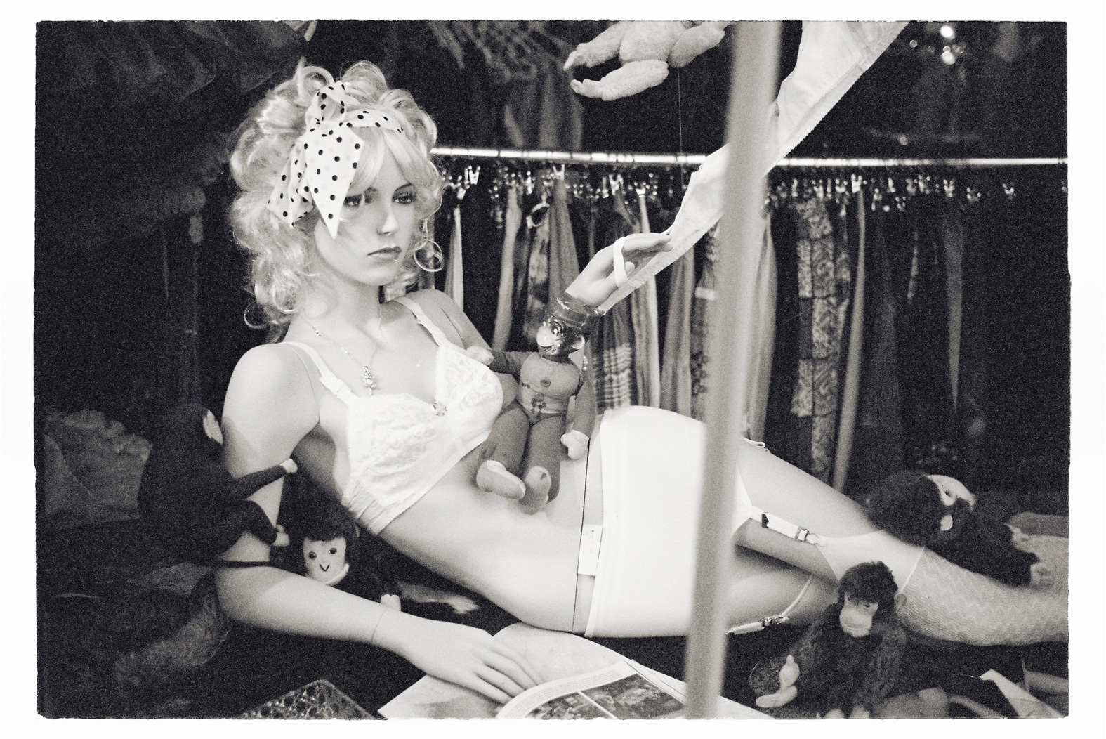 13 cm x 18 cm Postcard Size C Type Prints Portfolio - Edition of 50