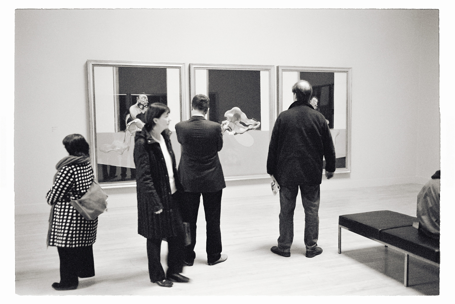 13 cm x 18 cm Postcard Size C Type Prints Portfolio - Edition of 50