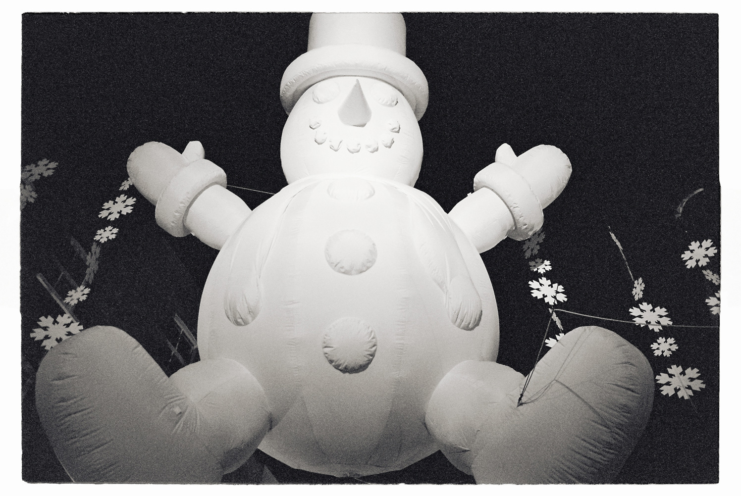 13 cm x 18 cm Postcard Size C Type Prints Portfolio - Edition of 50