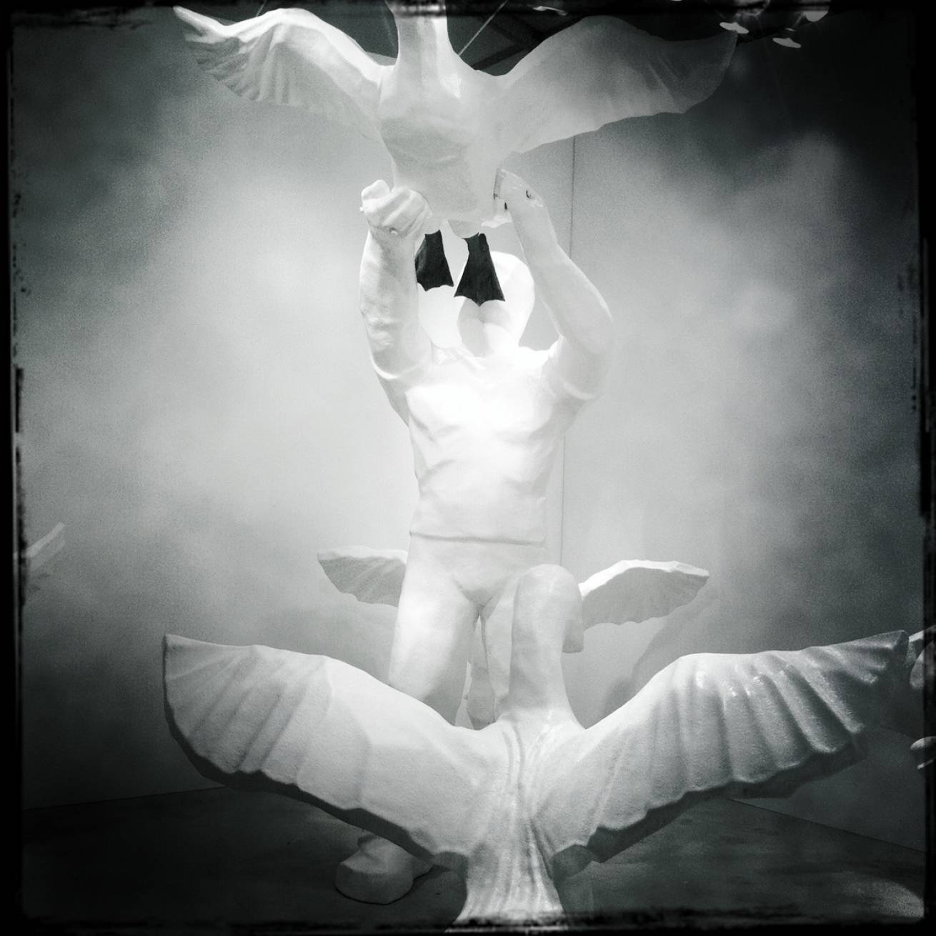 13 cm x 15 cm Postcard Size C Type Prints Portfolio - Edition of 50