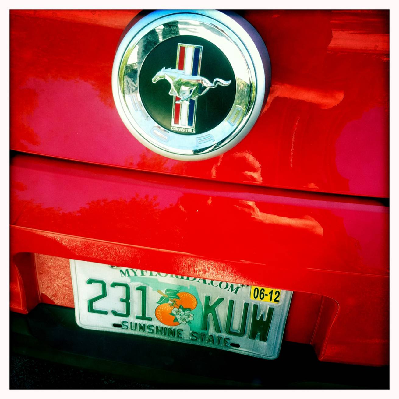 13 cm x 15 cm Postcard Size C Type Prints Portfolio - Edition of 50