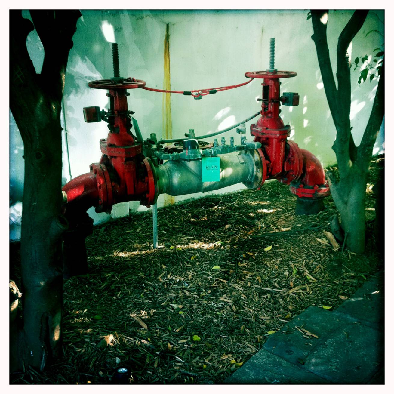 13 cm x 15 cm Postcard Size C Type Prints Portfolio - Edition of 50