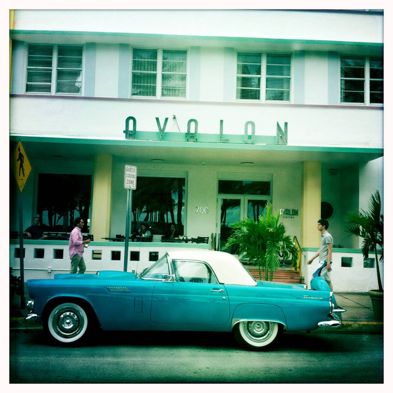 13 cm x 15 cm Postcard Size C Type Prints Portfolio - Edition of 50