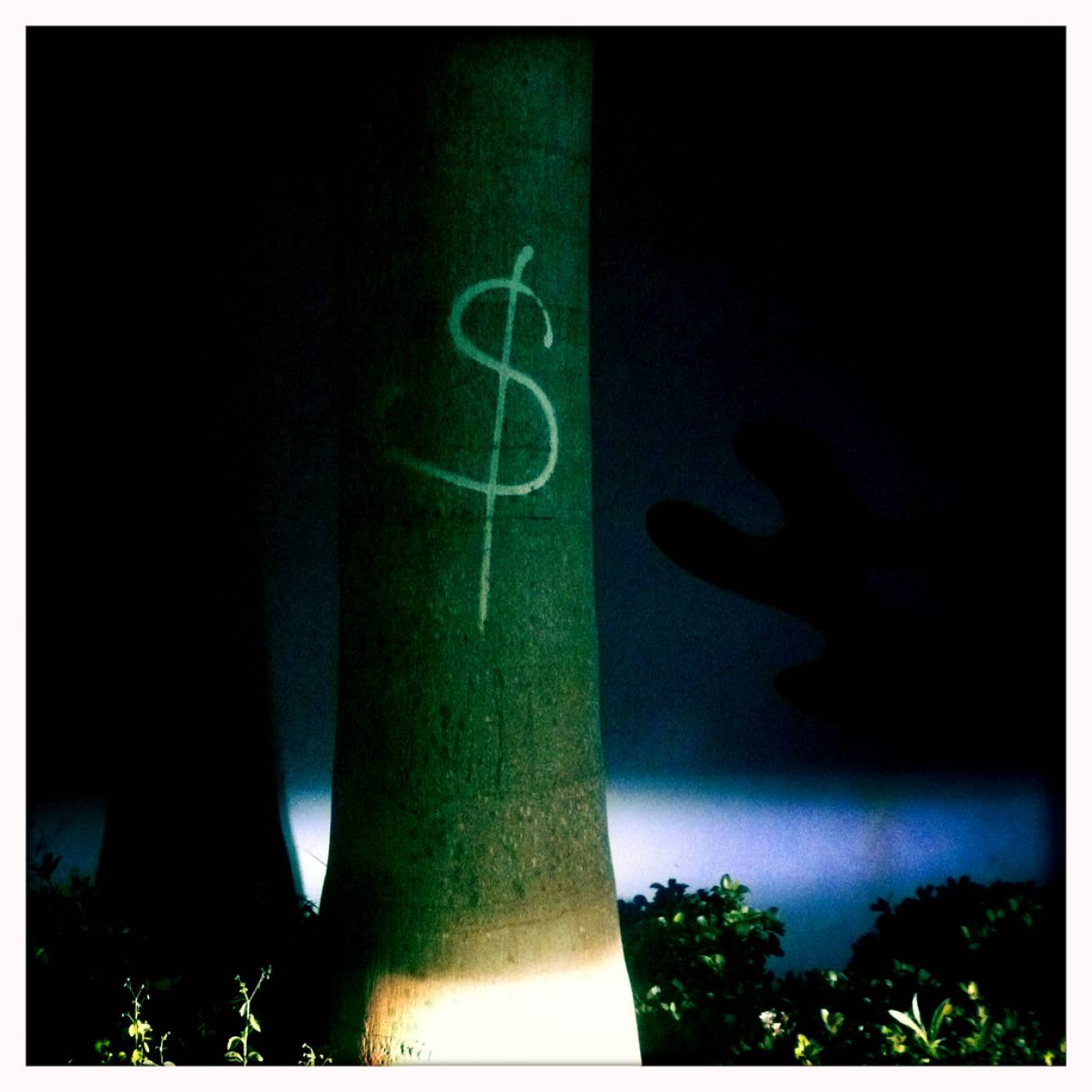 13 cm x 15 cm Postcard Size C Type Prints Portfolio - Edition of 50