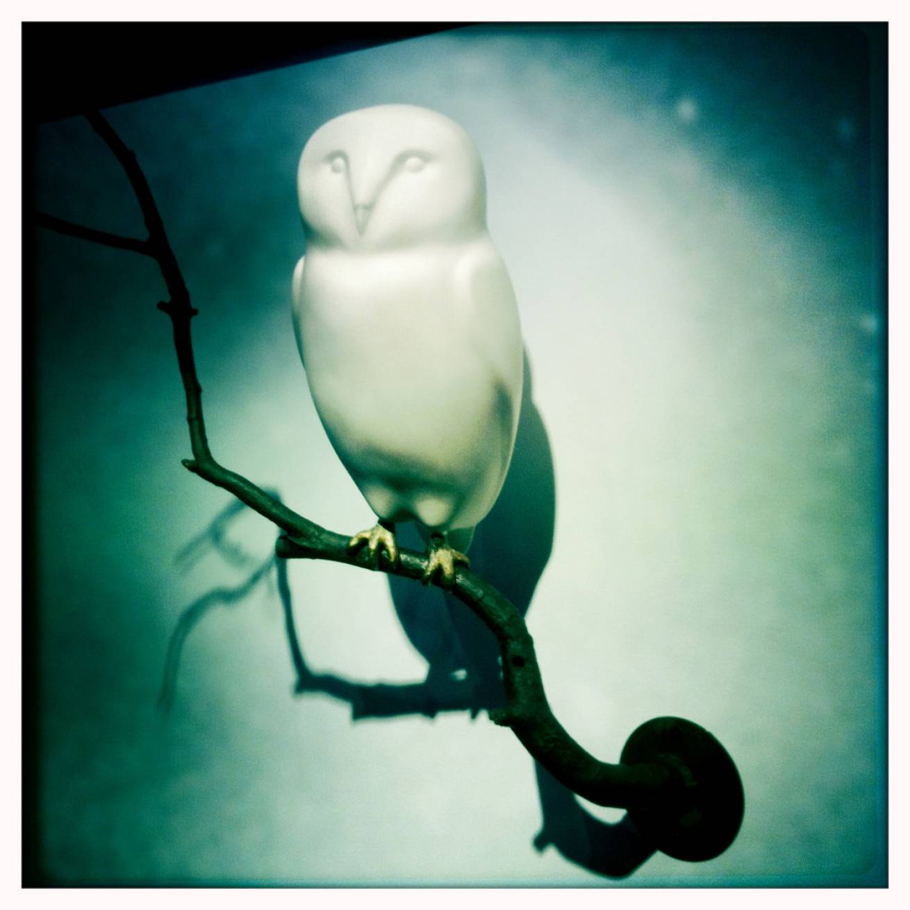 13 cm x 15 cm Postcard Size C Type Prints Portfolio - Edition of 50