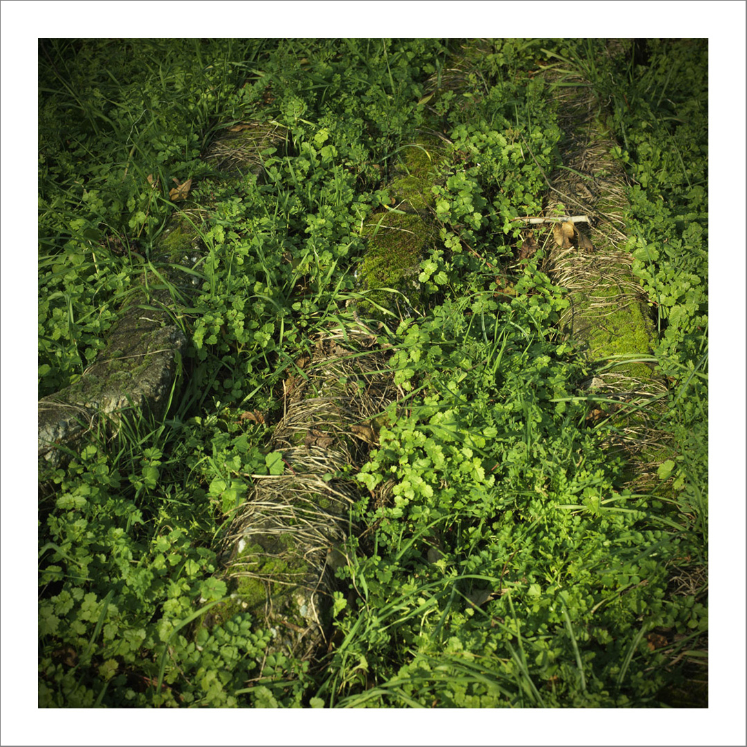 New photographs2 10 - 110 x 110 cm Diasec Mounted Prints - Edition of 5