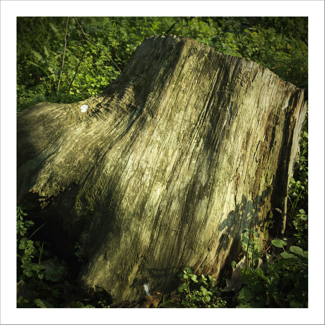 New photographs2 13 - 110 x 110 cm Diasec Mounted Prints - Edition of 5